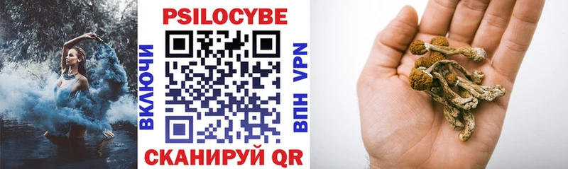 Галлюциногенные грибы Psilocybe  как найти   Ворсма 